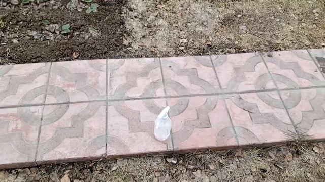 дела домашние во дворе