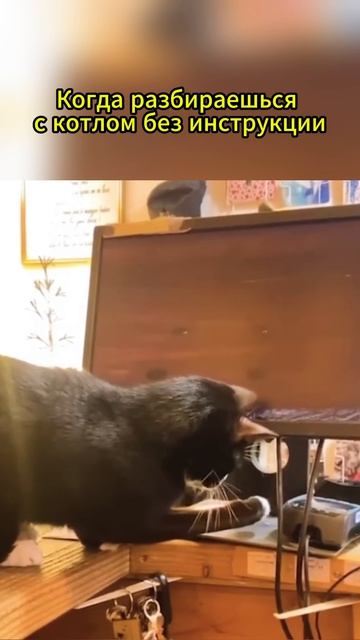 #юмор #котел #отопление #скгаз