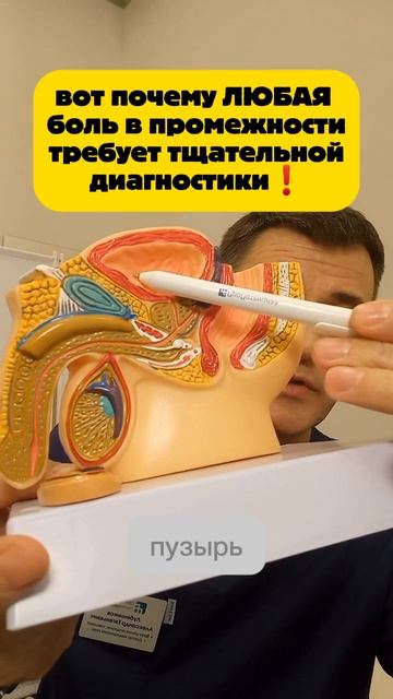 Мужское здоровье: вот почему ЛЮБАЯ боль в промежности требует очень тщательной диагностики!