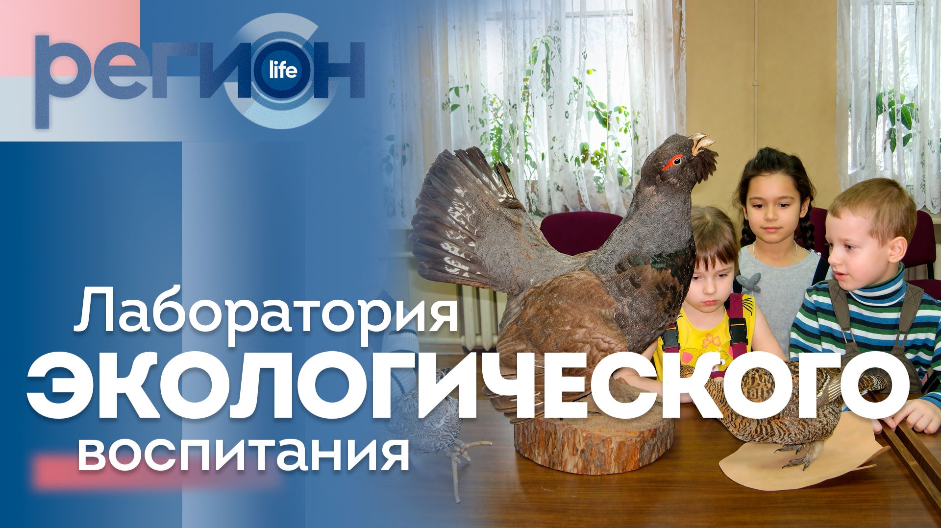 Регион LIFE  | Лаборатория экологического воспитания | ОТС LIVE — прямая трансляция