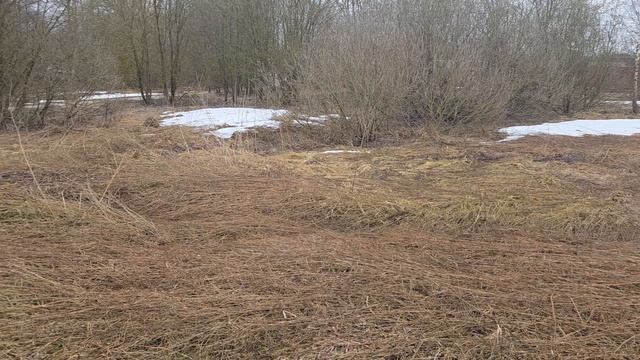 З/у с к.н. 50:28:0090405:675 расположенный по адресу: МО, г. Домодедово, с. Введенское