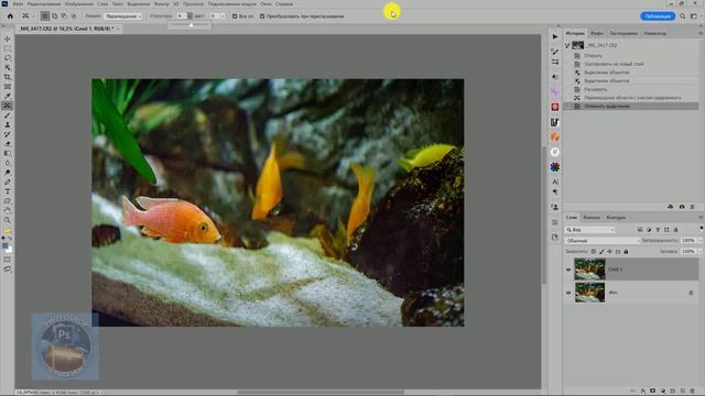 Как правильно применять инструмент «Перемещение с учетом содержимого»
