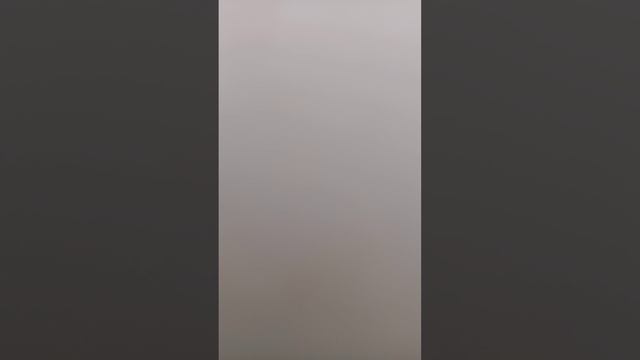 мои пернатые одной даже мед обследование сделал !