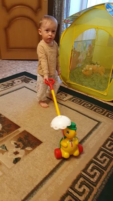 Рома катит каталку, 18:15, 15.04.2026