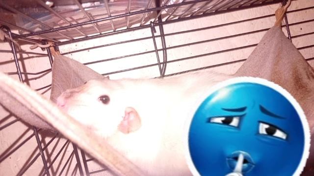 ваууууууууууууууууууууууууууу