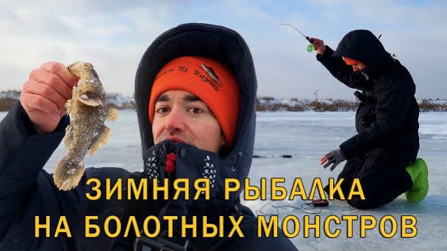Открыл первый лёд на болоте! Рыбы лупят приманку целиком. Ловля в отвес со льда.