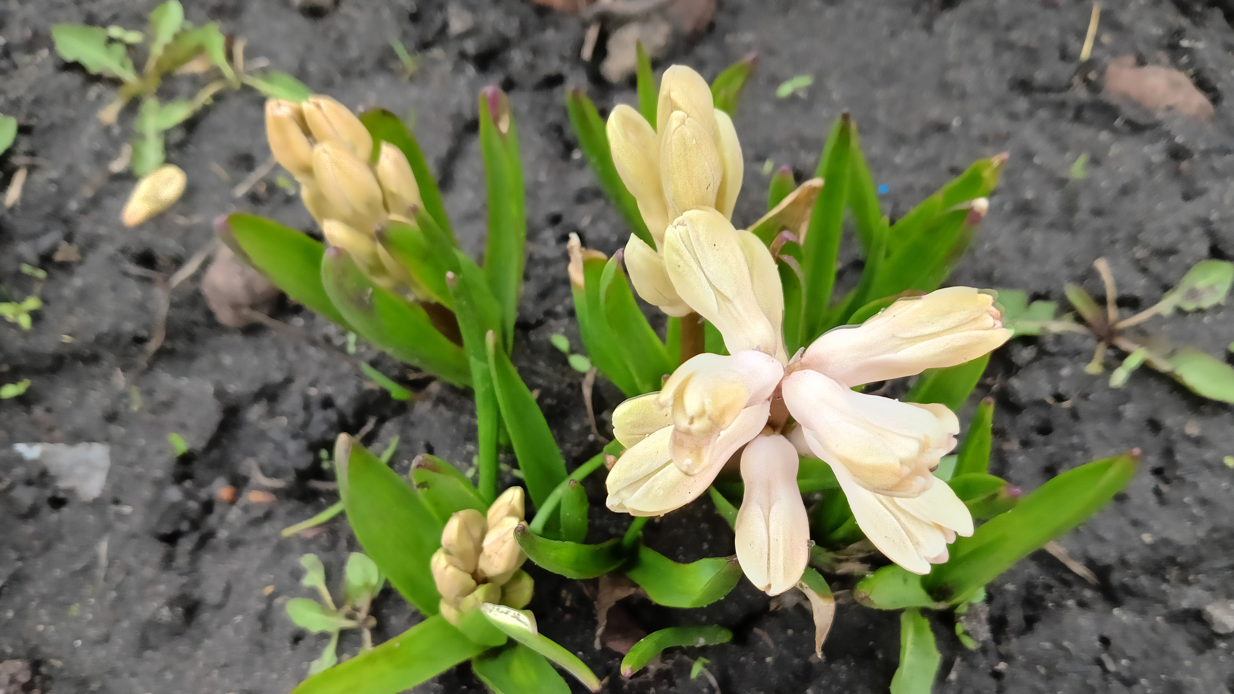 F96a5b81a5200456f9142600f8ebd203