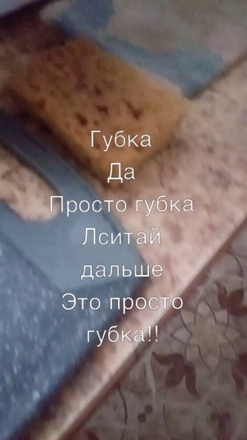 Губка🧽