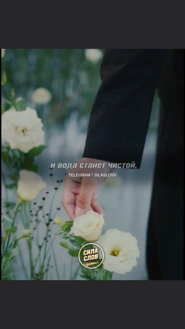 Переходи на канал, это шаг к твоей идиальной версии себя.
👆👆👆
————————
#бизес #маркетинг #финансы #у