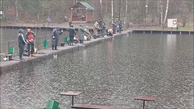Неплохой старт в поимках форели в дождливый день на спорт зоне. Клёвое место лосиный остров