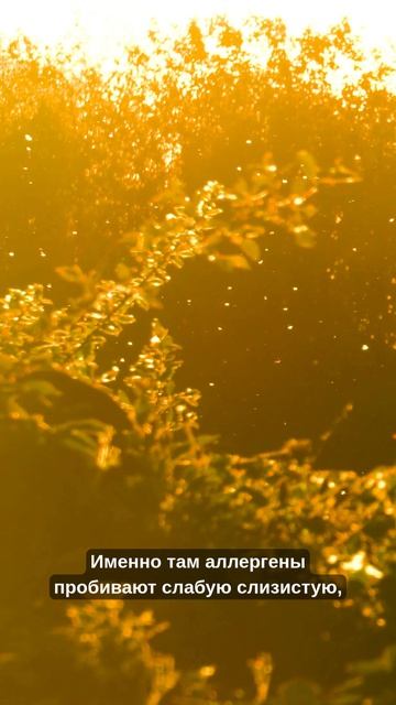 ВЕСЕННЯЯ АСТЕНИЯ