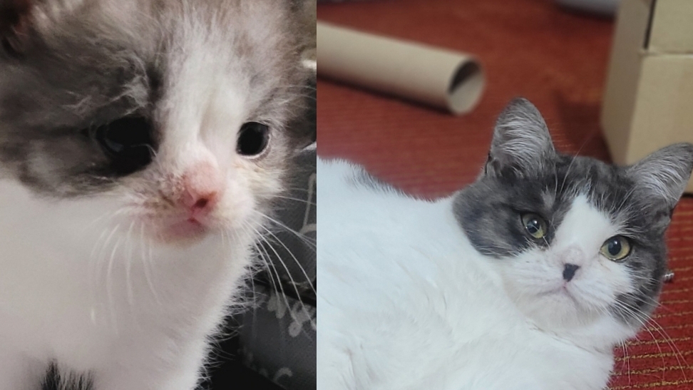 Солнечный котик Даня.