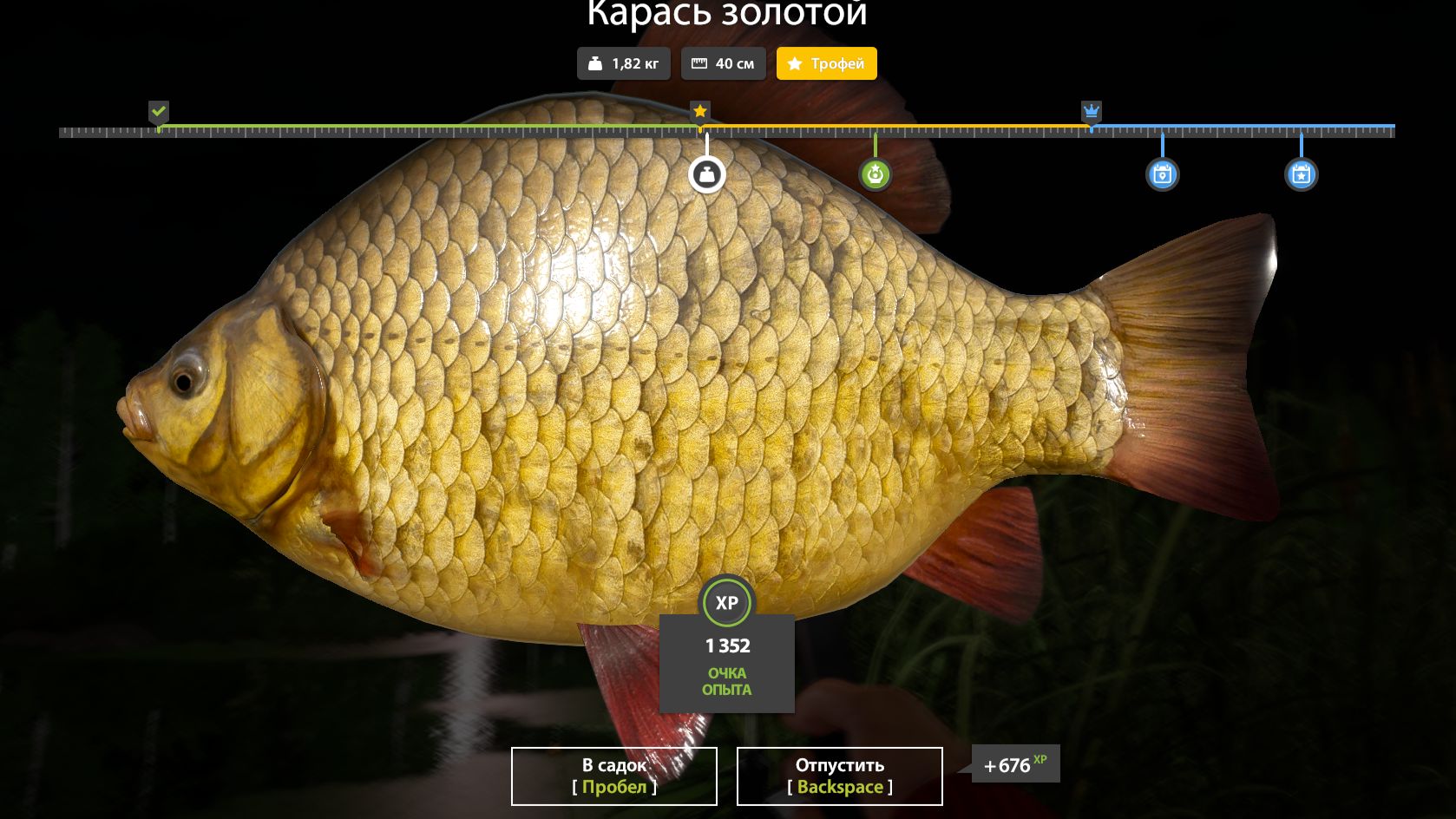 Старый Острог продолжаем ловить Щуку, амура, язя, карпа карась, линя и др