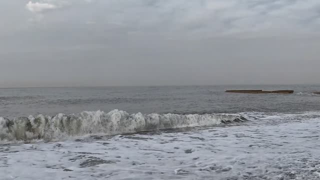 🌊ВОЛНИТЕЛЬНОЕ МОРЕ У ЖД ВОКЗАЛА. МЕСТНЫЕ СОБАЧКИ. УТРО В АДЛЕРЕ. 25.11.2025 г.