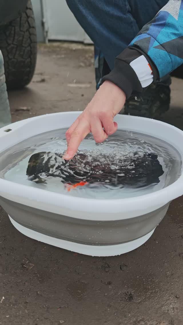 Царь колонка водостойкая портативная DL Audio Barracuda Portable Speaker