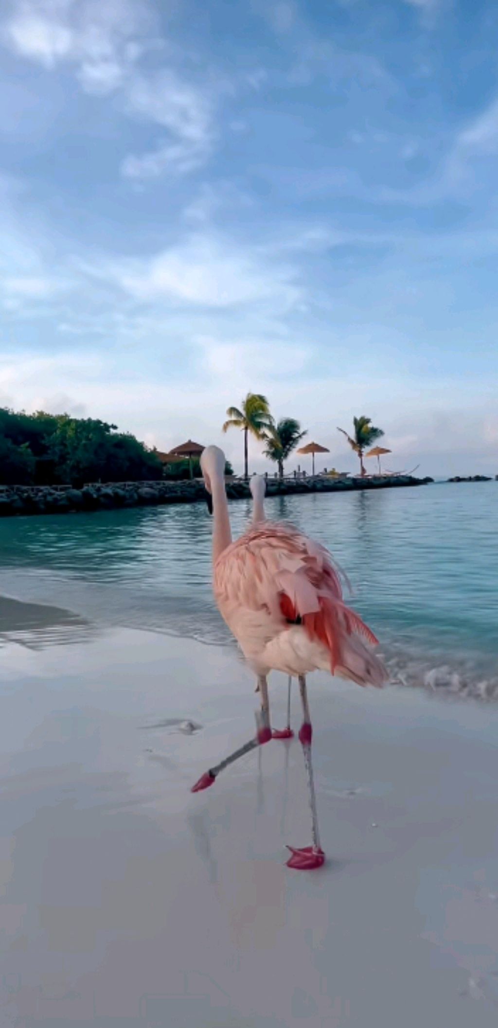 Знания Бога Всем