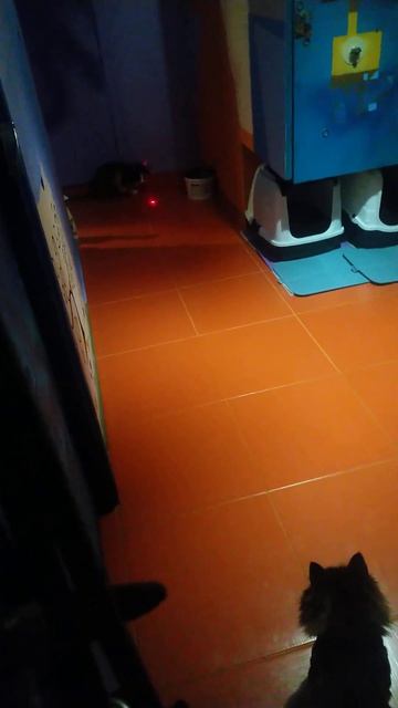 Лазерные игры