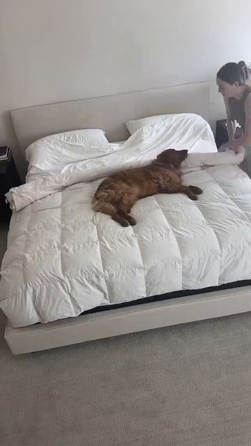 Моральная поддержка на высочайшем уровне