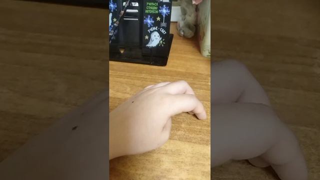 я отвечаю на вопросы.