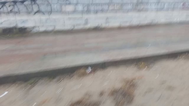 Рубрика Прогулка