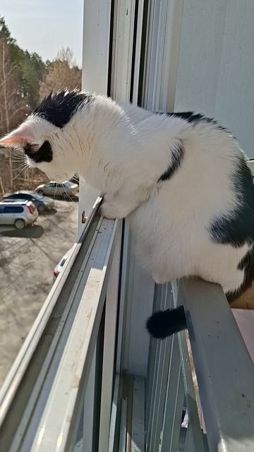 Тепло. Теперь на балконе можно тусить🤗