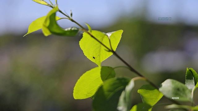 Как узаконить дом на даче
