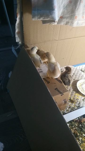 и жизнь хороша и жить хорошо