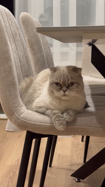 Бесплодное ожидание: жизнь в тени старых экранов #пессимизм #реальность #Россия