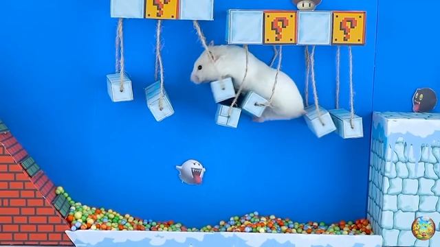 Хомячок убегает из опасного цветочного лабиринта! 2 часть