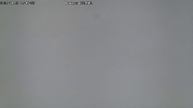 LIVE: Channel43489494