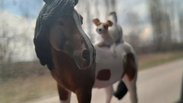 всё фотки которые не выложила раньше