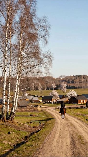 Путь к спокойствию: красивый пейзаж деревни на лошади #природа #деревня #поездка