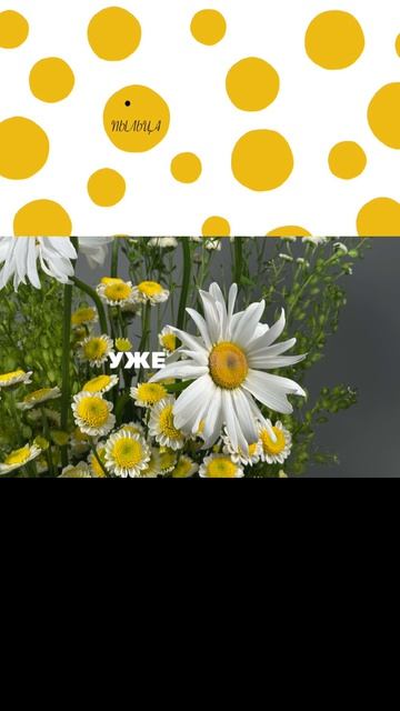 🟡Пыльца — это привычка, а не событие