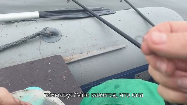 весенний улов-ловим густеру с плотвой