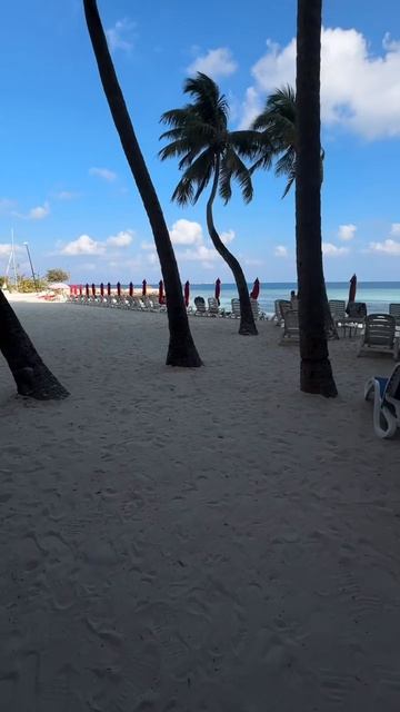 Мальдивы 990$ 🇲🇻