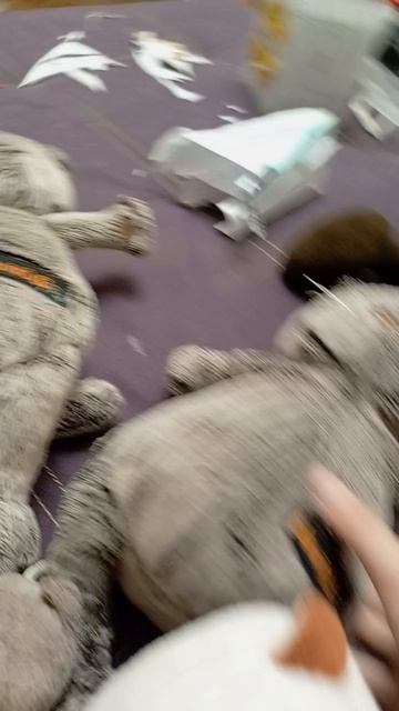 басики покупают себе одежду у продавца шлепы