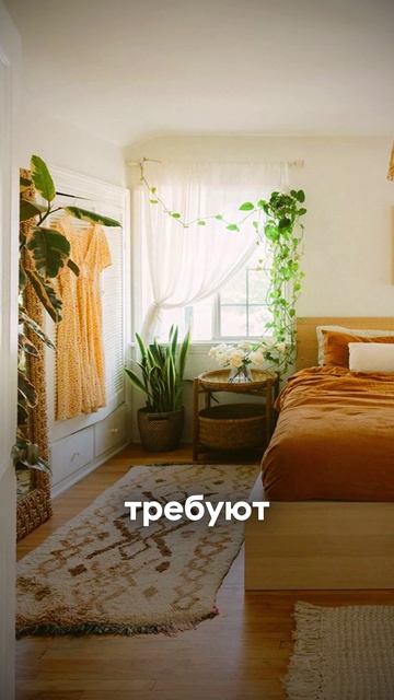 Почему при одной и той же температуре, одним холодно, другим жарко  🥶 ️ 🥵