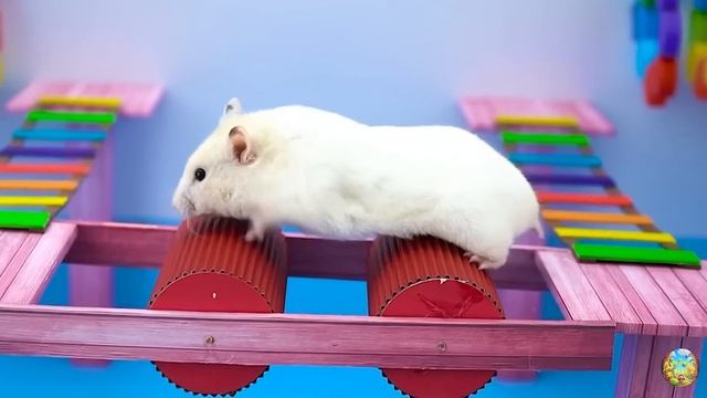 Хомячок убегает из опасного цветочного лабиринта! 12 часть