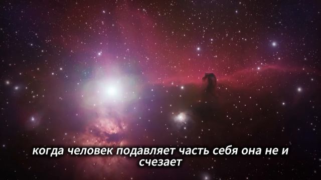 Токсичная светлость: почему «я должен быть добрым и светлым» — это тоже насилие над собой.