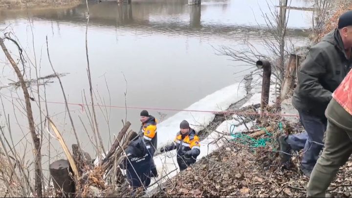 В Кургане провели расчистку Тобола под Кировским мостом