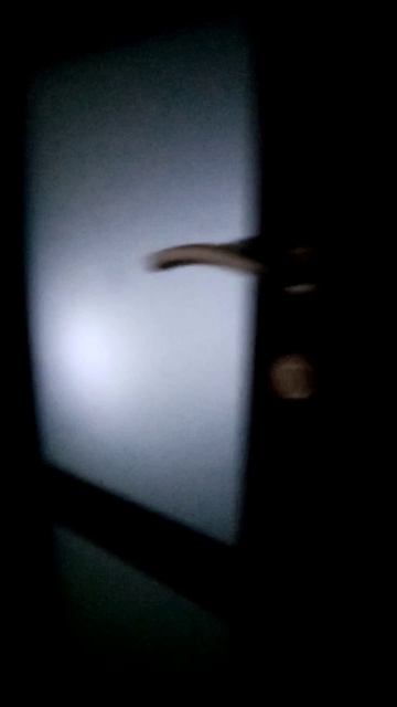 Скинволкеры сняты на камеру