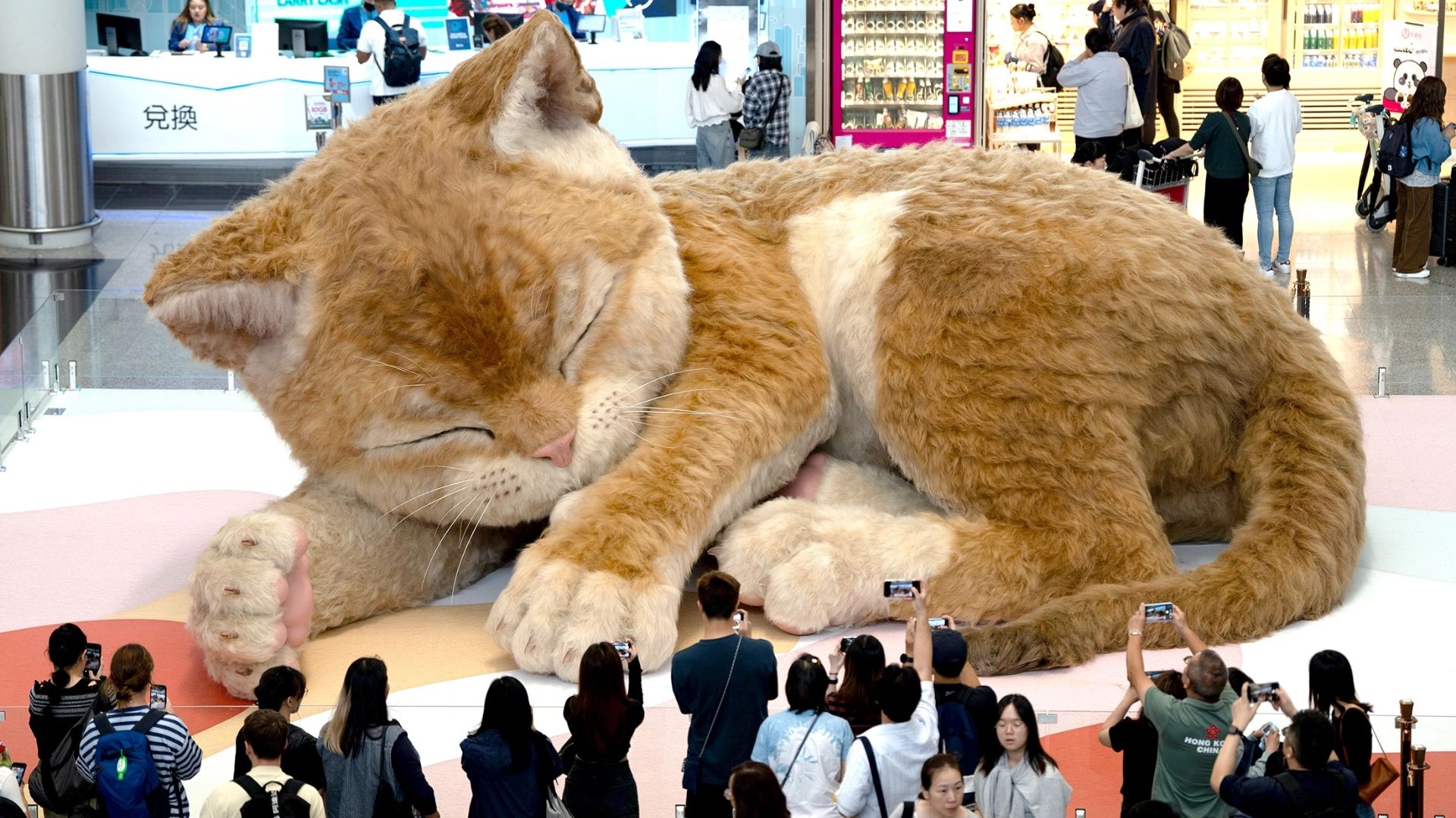 «Калашников» и его «Крона». Водород и мини ракеты.