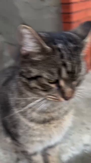 Ближе не подходи!