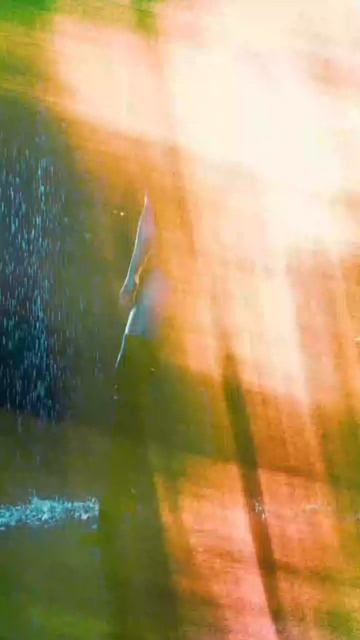 Лучшие промпты для нейросетей + инструкция и мой канал   — в шапке профиля!