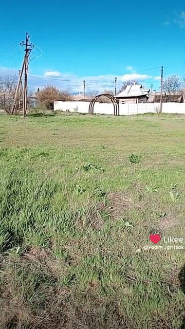 футбольное поля имени берегового