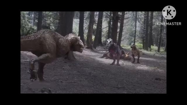 Biggest T Rex Battle!!
