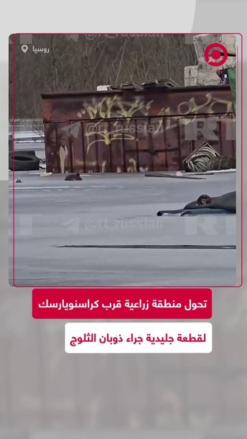 منطقة زراعية روسية تتحول إلى قطعة جليد