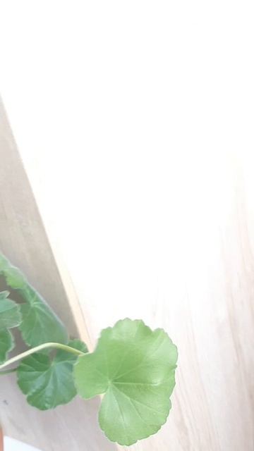 Про меня рассказать не забудь .