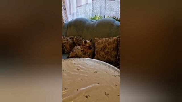 Всем доброе утро и хорошего дня. 15 Апреля 2026 год