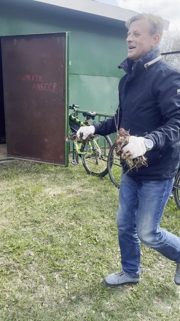 Весна, благоустройство территории